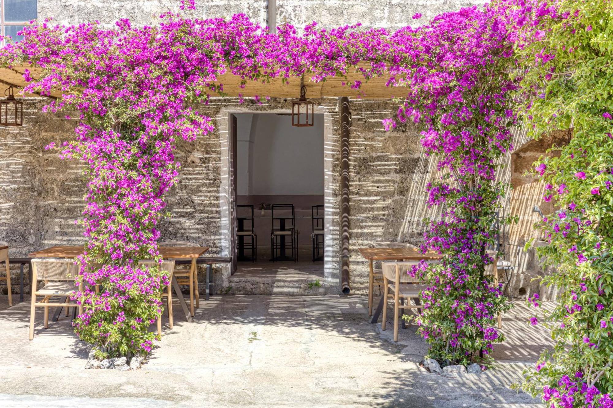 Biomasseria Santa Lucia Alessano Exterior photo