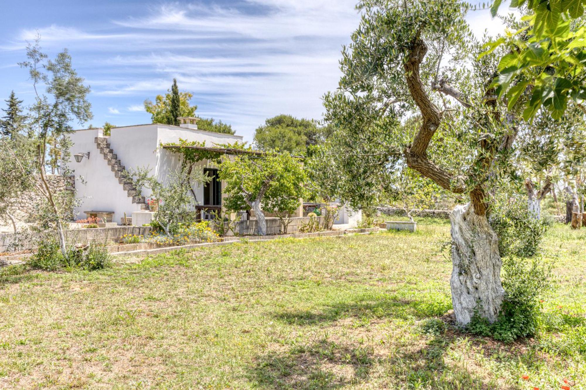 Biomasseria Santa Lucia Alessano Exterior photo